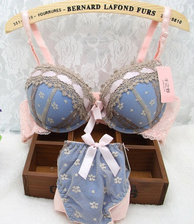 New 2016 luxury retro lace bows push up bra and panties set sexy women brassiere lingerie bra underwear set free shipping